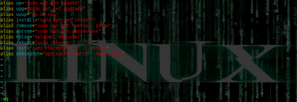 alias_vim
