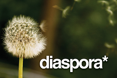 Diaspora Seeks Donations, PayPal Freezes Account