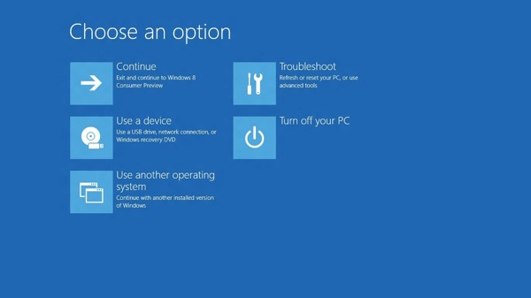 Boot Options Menu.jpeg Boot Options Menu