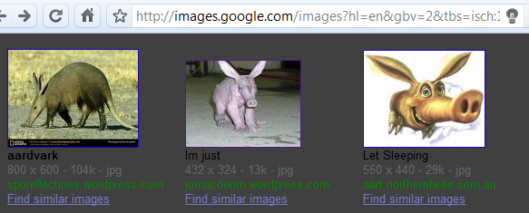 turn-off-the-lights-aardvark
